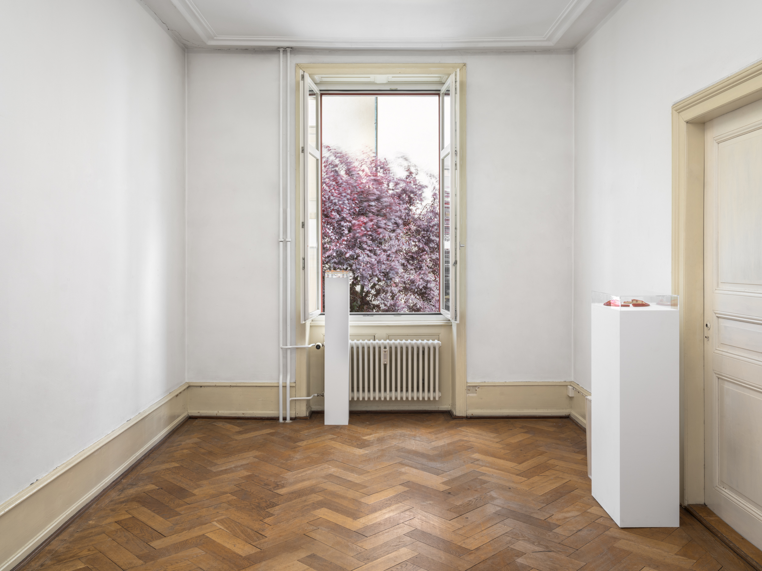 Aisha Altenhofen solo exhibition at Austin Space: Installation view of a minimal white gallery space with grey wooden floors, featuring small framed photographic works and a horizontal industrial light fixture mounted across a central window.