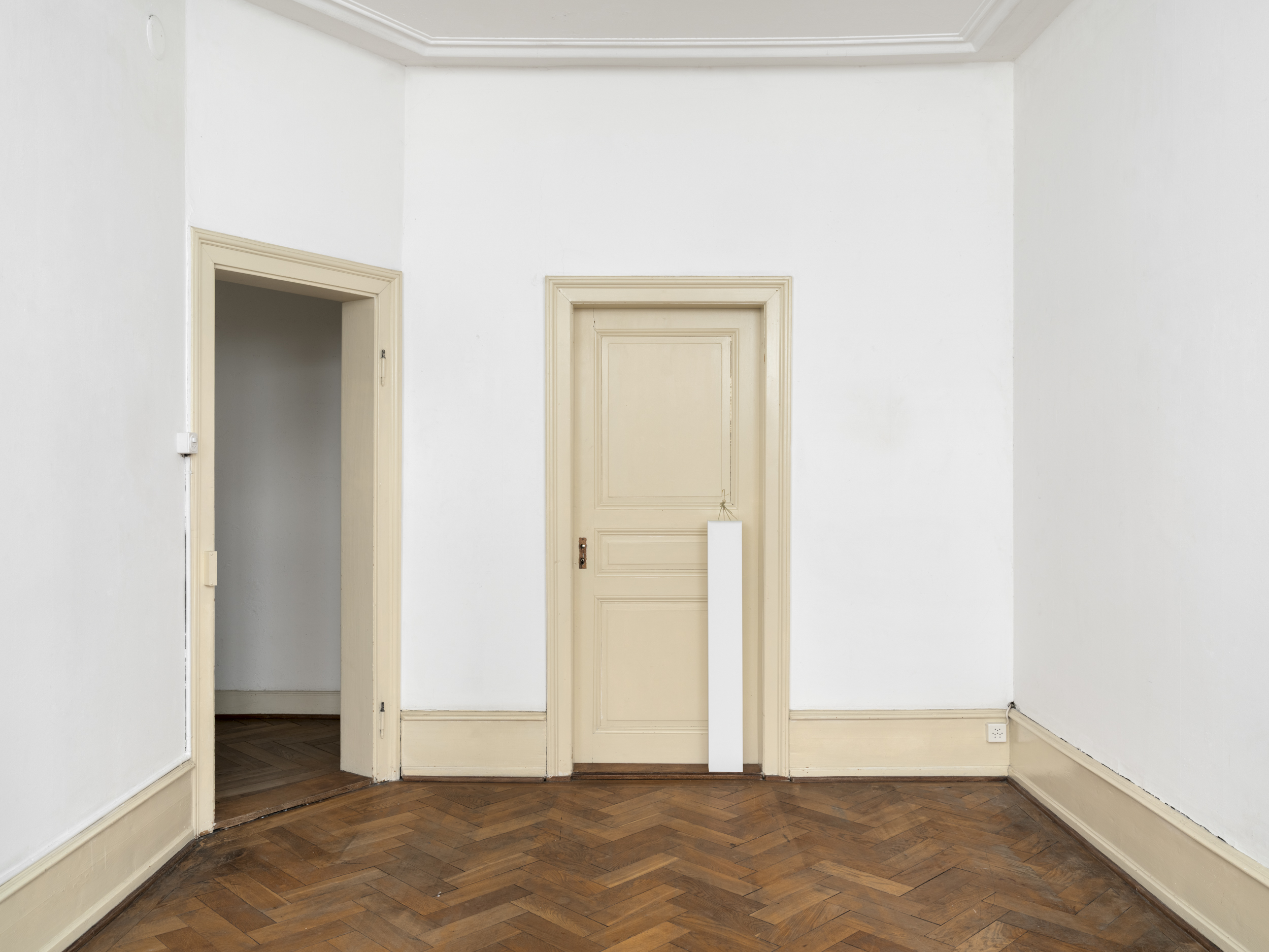 Aisha Altenhofen solo exhibition at Austin Space: Installation view towards the door with a warmer light temperature, a small photographic work hangs on the opposite wall to a grid light fixture that is hung on the wall.